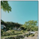 문수산자연휴양림 | 봉화 문수산 자연휴양림 24년 2탄