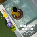 [여행] 경남 고성 4박 5일 여름 휴가 1탄 / 공룡박물관, 고성시장, 공룡발자국화석지, 고성,숙 (with...