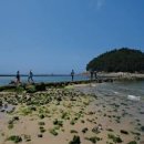 태안 가볼만한곳 태안반도 태안해안국립공원 놀거리 충남데이트코스 이미지