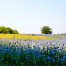 태산목장 이미지