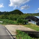 학하복용서로1 이미지