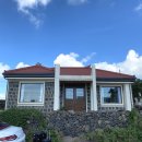 스테이서하온 | 제주 감성숙소 스테이 서하온 후기✔️