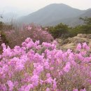 행복동산 이미지