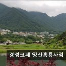 경성코페 양산홍룡사점