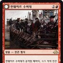 대구듀얼챔프