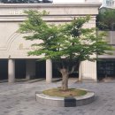 멜로디공인중개사사무소 이미지