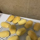 마벨펫푸드 이미지