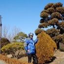 바보온달 이미지