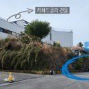 카페드콜리