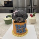 아기자기 반려 동물 옷 만들기 | 반려동물케이크 만들기 수업 후기 | 강아지생일 준비