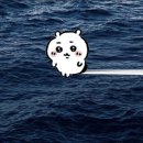 상보빌딩 | 그냥 가끔 그리울 뿐인데