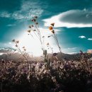 지우농원 이미지