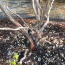 (주)야생 이미지