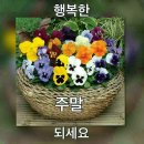 동읍364 | 極樂淨土(극락정토) / 가야왕조실록(88)