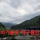 나눔약초 Daum카페