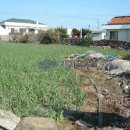 하모리-9 이미지