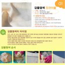 천연염색과풍기인견 네이버블로그