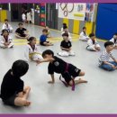 용인대대영태권도 이미지