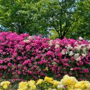 그린웨이 이미지