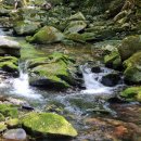 항골계곡 이미지