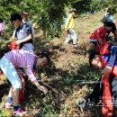 미산초등학교 이미지