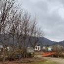 그린좌대낚시터 이미지