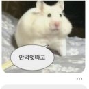 흥안양꼬치 이미지