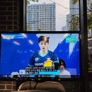 일상/주안 용일사거리 볼테기탕 맛집 전주 홍어 전문