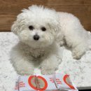 연오축산 이미지