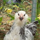 우석농장 이미지