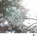 옥구공원 2주차장 이미지