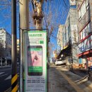 벨라 | 주안피부관리 뉴벨라에스테틱 후기 주안윤곽관리 체험