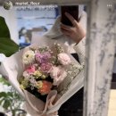 뮤리엘플레르 이미지