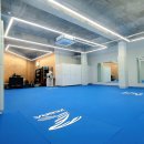 용인대 선샤인 유도 이미지