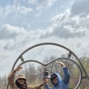 피나클랜드 이미지