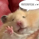 제 17회 이데일리 전략포럼