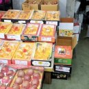 태양청과 이미지