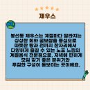 제우스 | 봉선동 술집 제우스 모임 후기