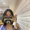 금자네족발 이미지