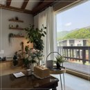 스테이브릴 이미지