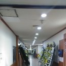 장항장의사 | 후불제상조 '장의사최씨' 일산 장례식장 '주품애' 상품 행사 후기