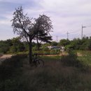 송지호모텔 이미지