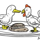 백세시대 이미지