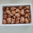 가정농장 | 서로서로농장 국내산 참송이버섯 1kg 후기 I 먹는법·보관법·손질까지