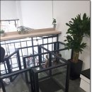 THE 폼나개 이미지