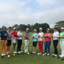 라이징스타골프