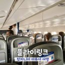 아프리카 탄자니아 여행 플라이링크 항공 경비행기 탑승 후기