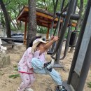 갈현로29길 | 은평구 공동육아 어린이집 - 솔직 후기 (블루베리)