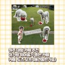 도즈커피 | 카페도즈오프(with 김비서) 아이들과 뛰어놀기좋은 원주 대형카페 솔직후기