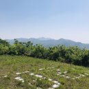 치악목장 이미지